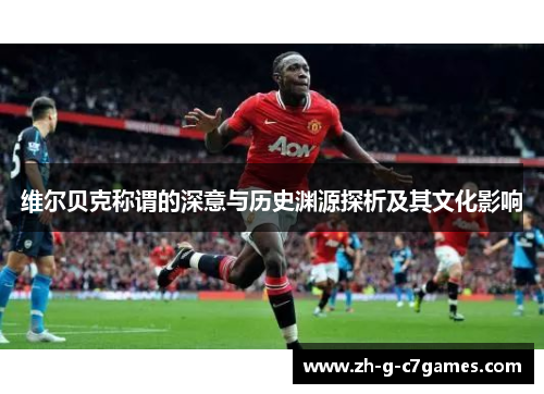 维尔贝克称谓的深意与历史渊源探析及其文化影响