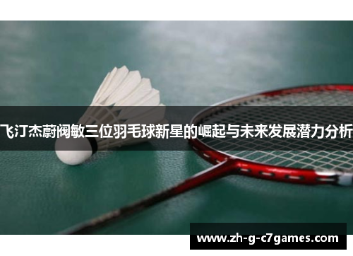 飞汀杰蔚阀敏三位羽毛球新星的崛起与未来发展潜力分析